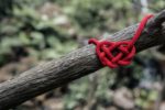 love-the-bully