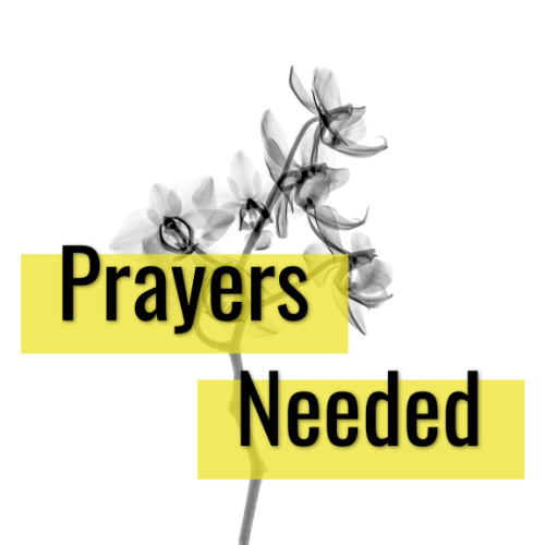 Prayers Needed - Dawson McAllister Association